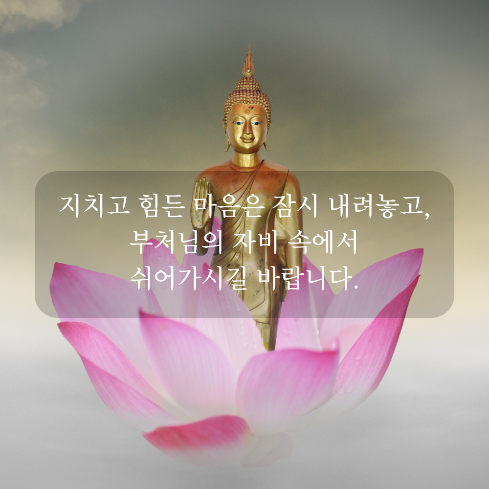 부처님 오신 날 인사말 문구 이미지 석가탄신일 사진 글귀 불상