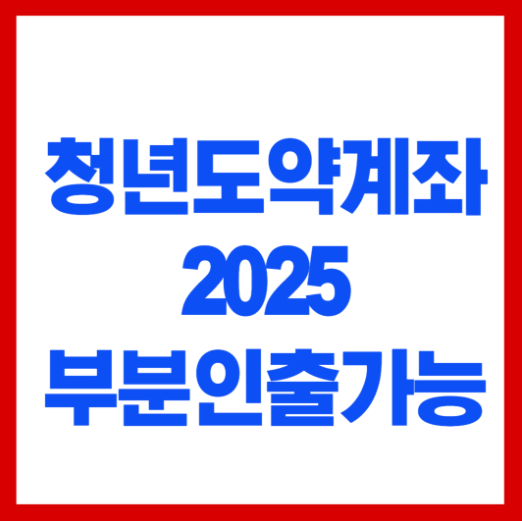 청년도약계좌 부분인출(2025)