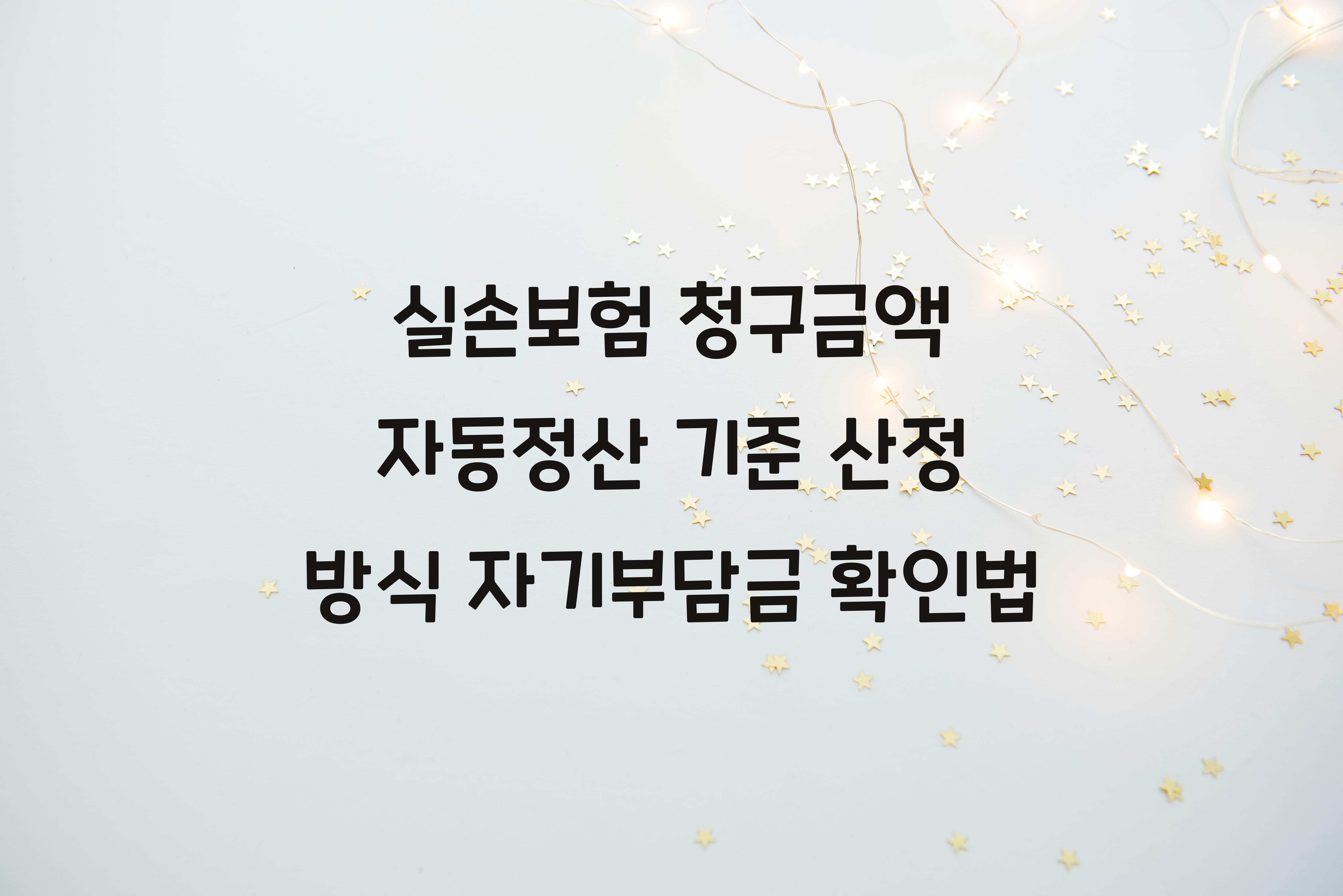 실손보험 청구금액 자동정산 기준