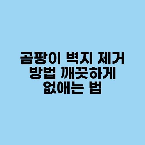 곰팡이 벽지 제거 방법 깨끗하게 없애는 법