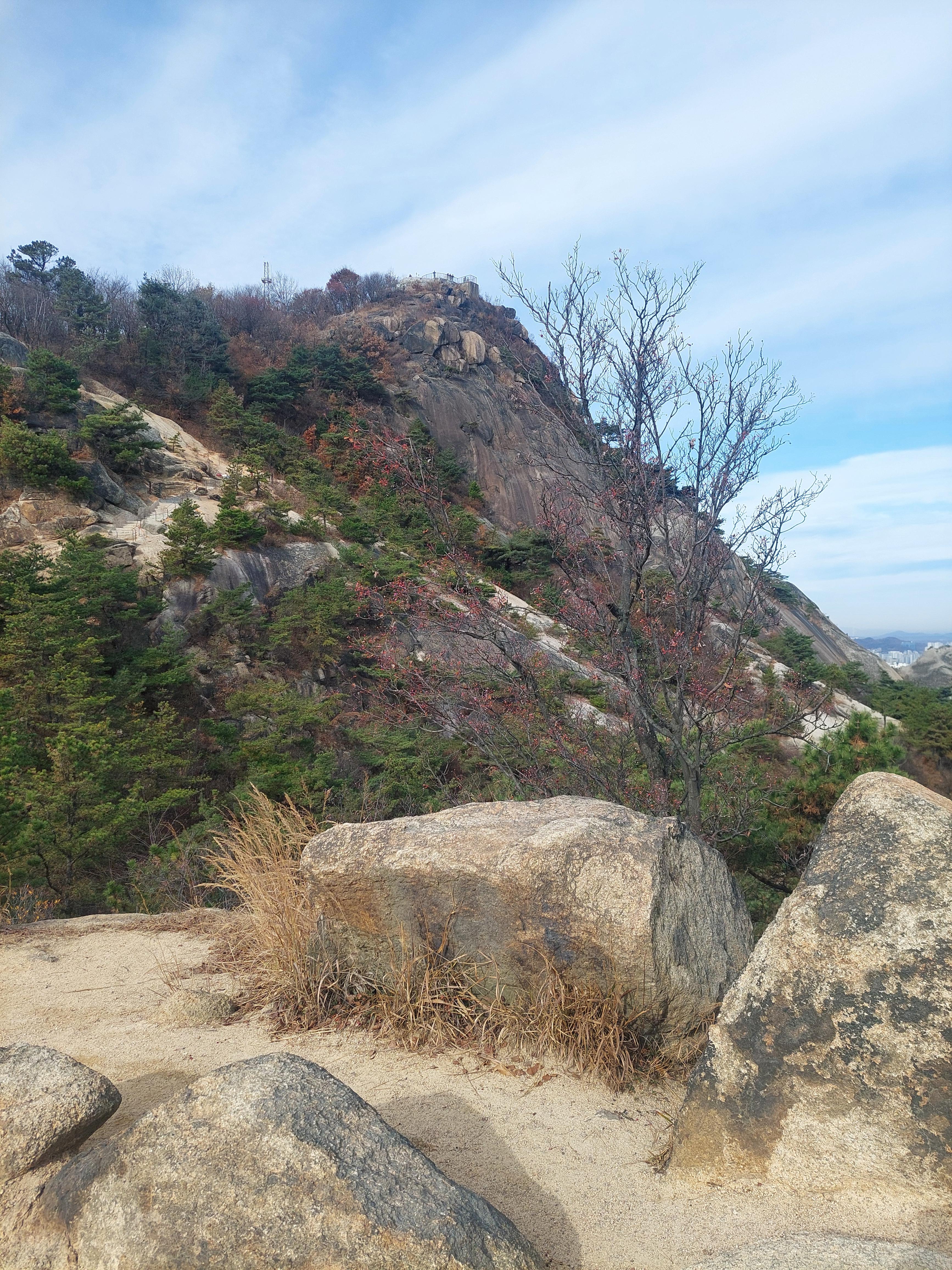 안산