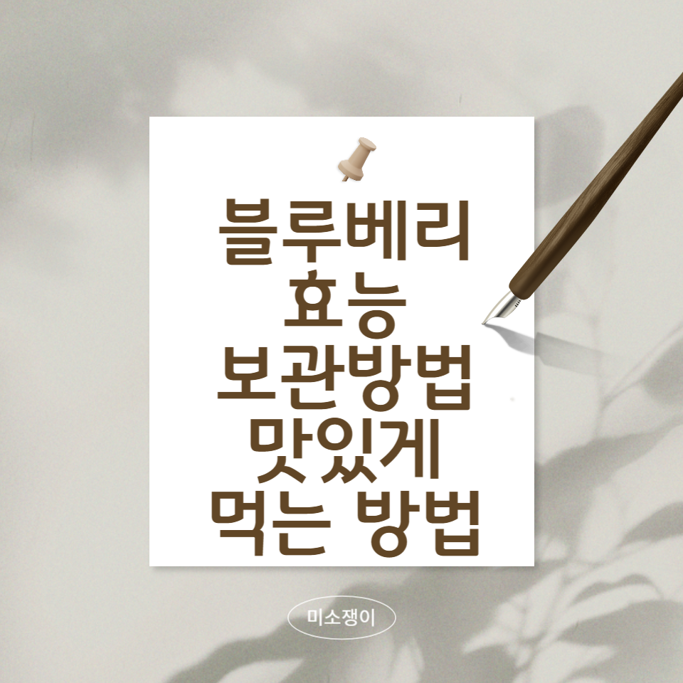 블루베리의효능과-보관방법과-맛있게-먹는-방법에-대한-문구-설명