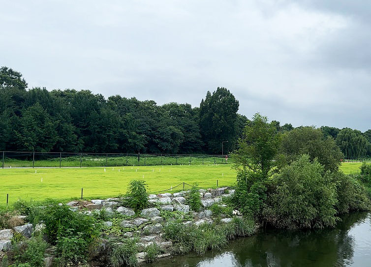 서울 강남 세곡동 탄천파크골프장 소개