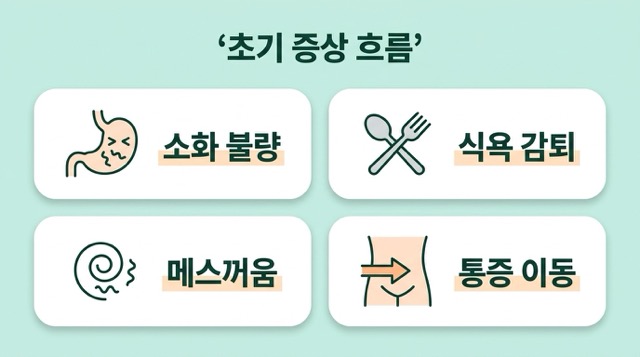 맹장염 초기증상 통증 이동 메스꺼움 식욕저하 움직임 악화