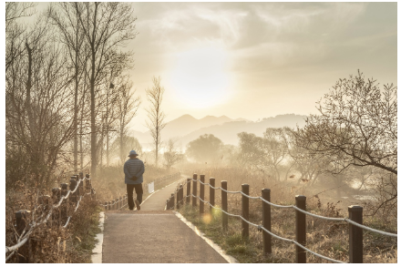 열대야 기준 온도 - 열대야 기간, 열대야 취침모드 전기세, 더위증상(온열질환)까지 총정리!
