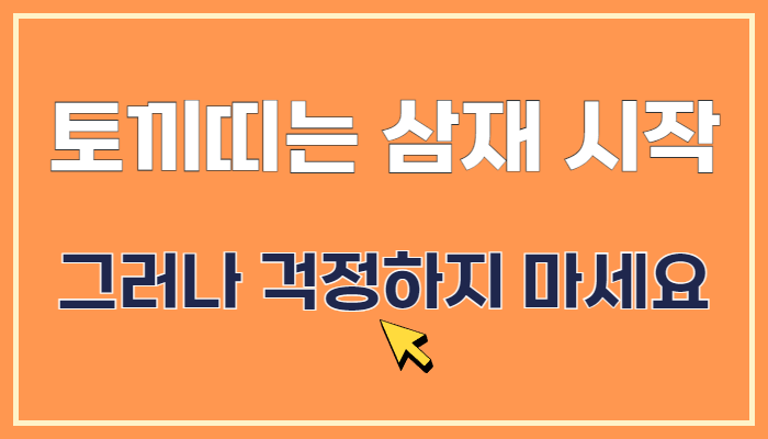 2025년 토끼띠 운세