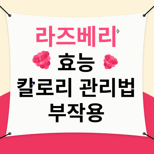 라즈베리 효능, 칼로리, 관리법, 부작용