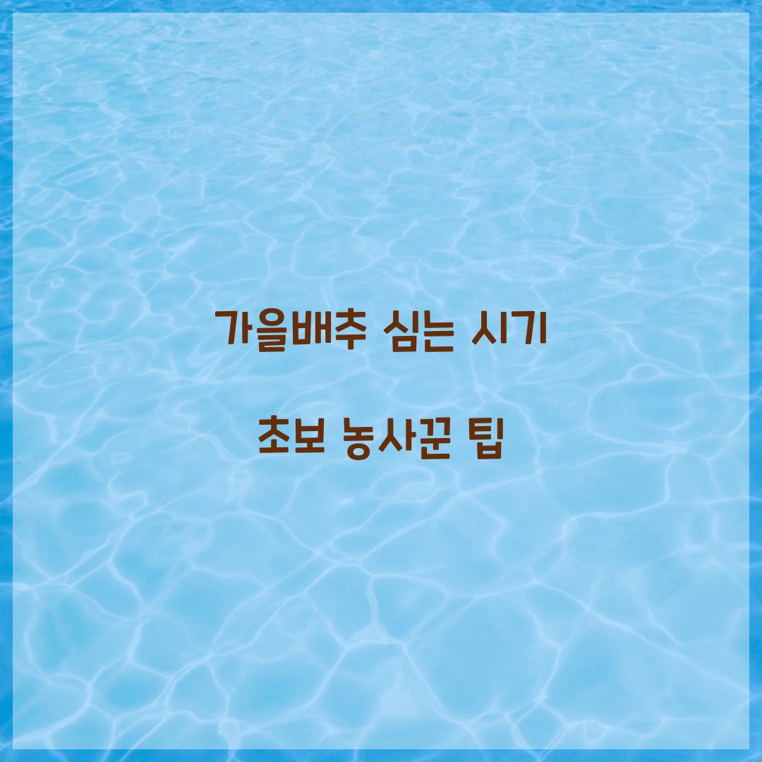 가을배추 심는 시기 초보 농사꾼 팁