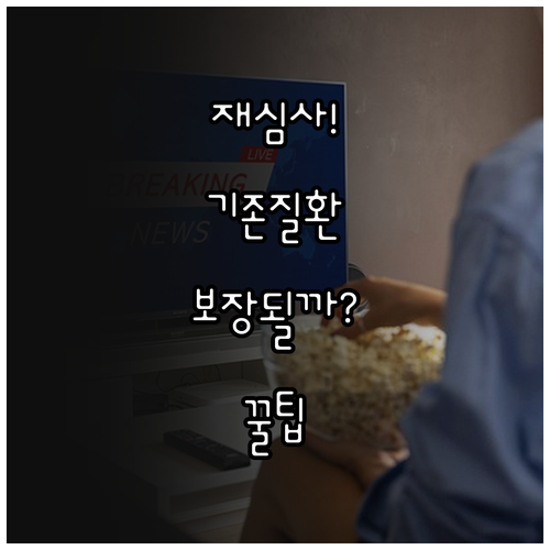 반려견 보험 기존 질환 재심사로 보장..