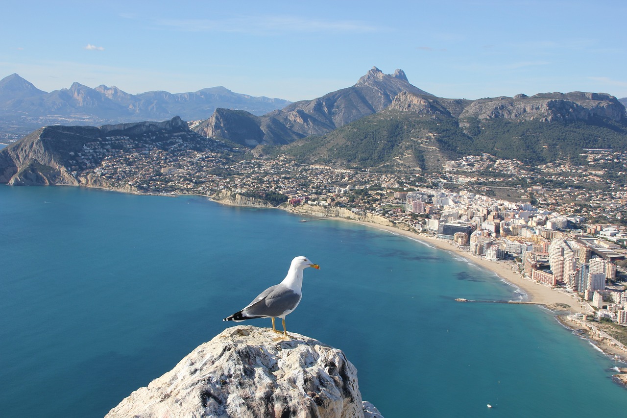 스페인 알리칸테(Alicante)