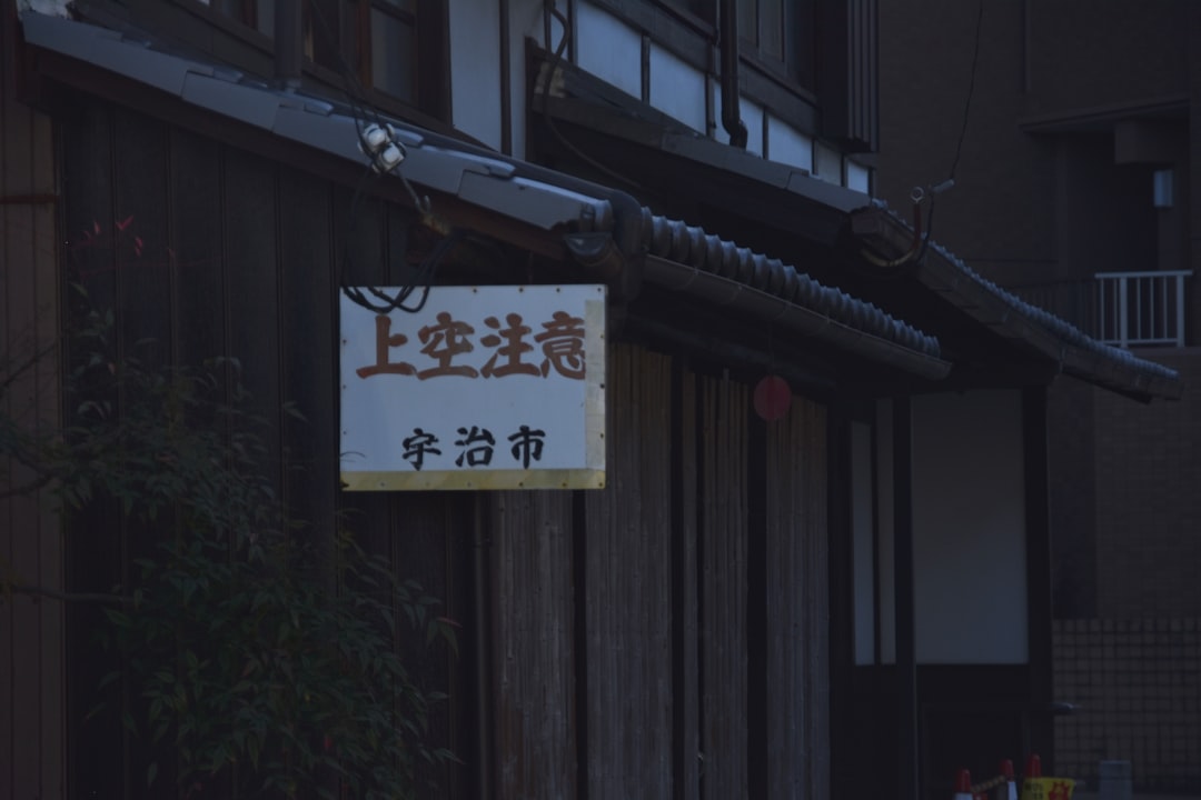 Shin