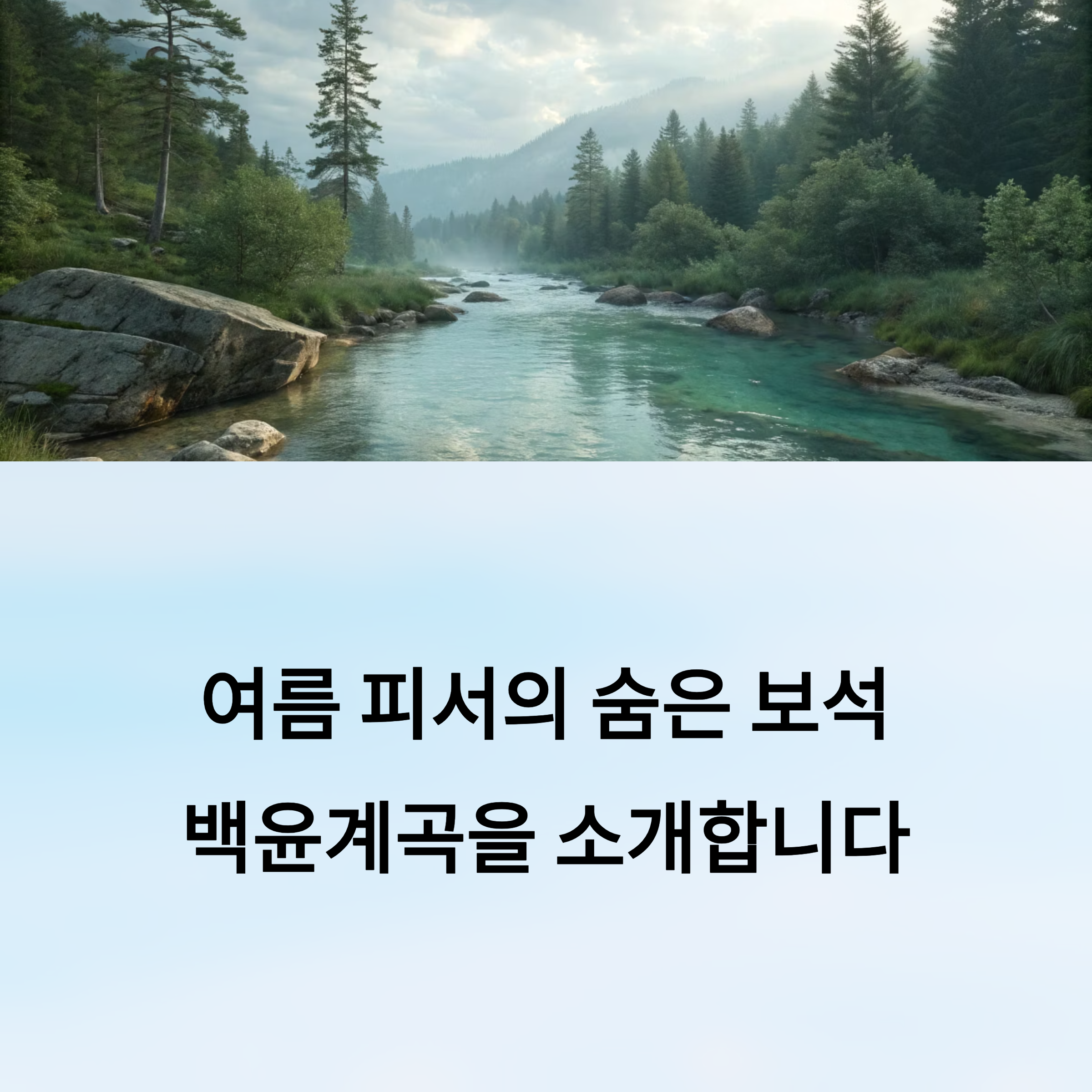 여름피서의 보석 백윤계곡