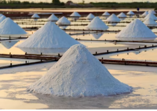 소금물 효능 소금물 가글 효능 장청소 하는법