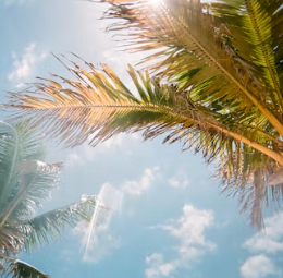 비타민D 부족 증상 섭취방법 많은 음식