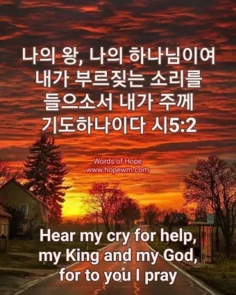 시편 5장 3절 읽기 - 여호와여 아침에 주께서 나의 소리를 들으시리니 아침에 내가 주께 기도하고 바라리이다_16