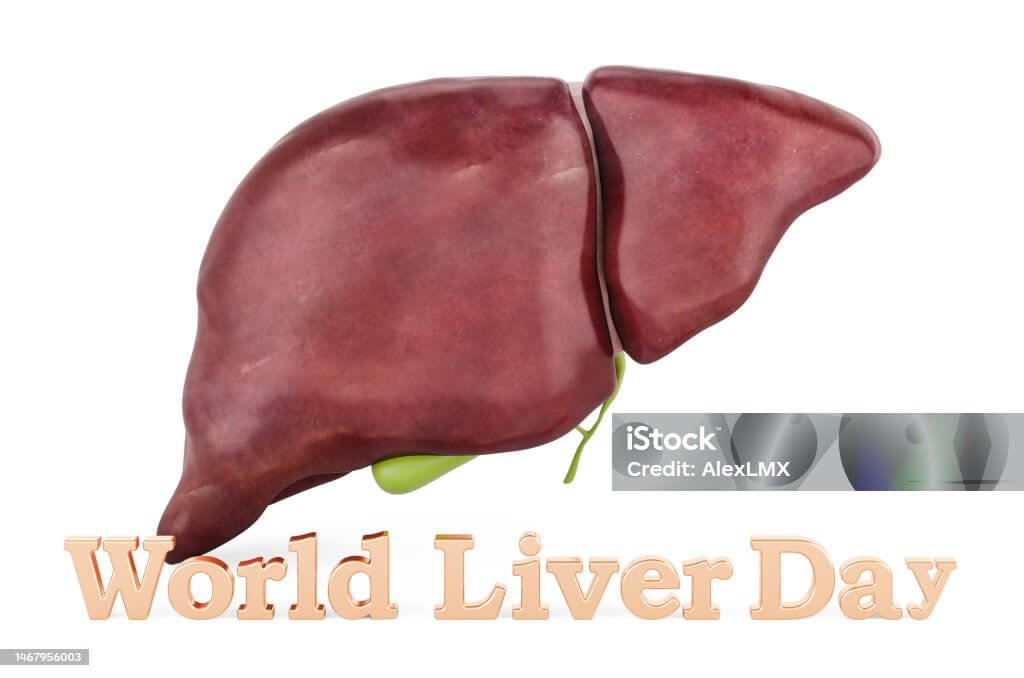 건강한 간을 위한 해독 식품과 생활 습관