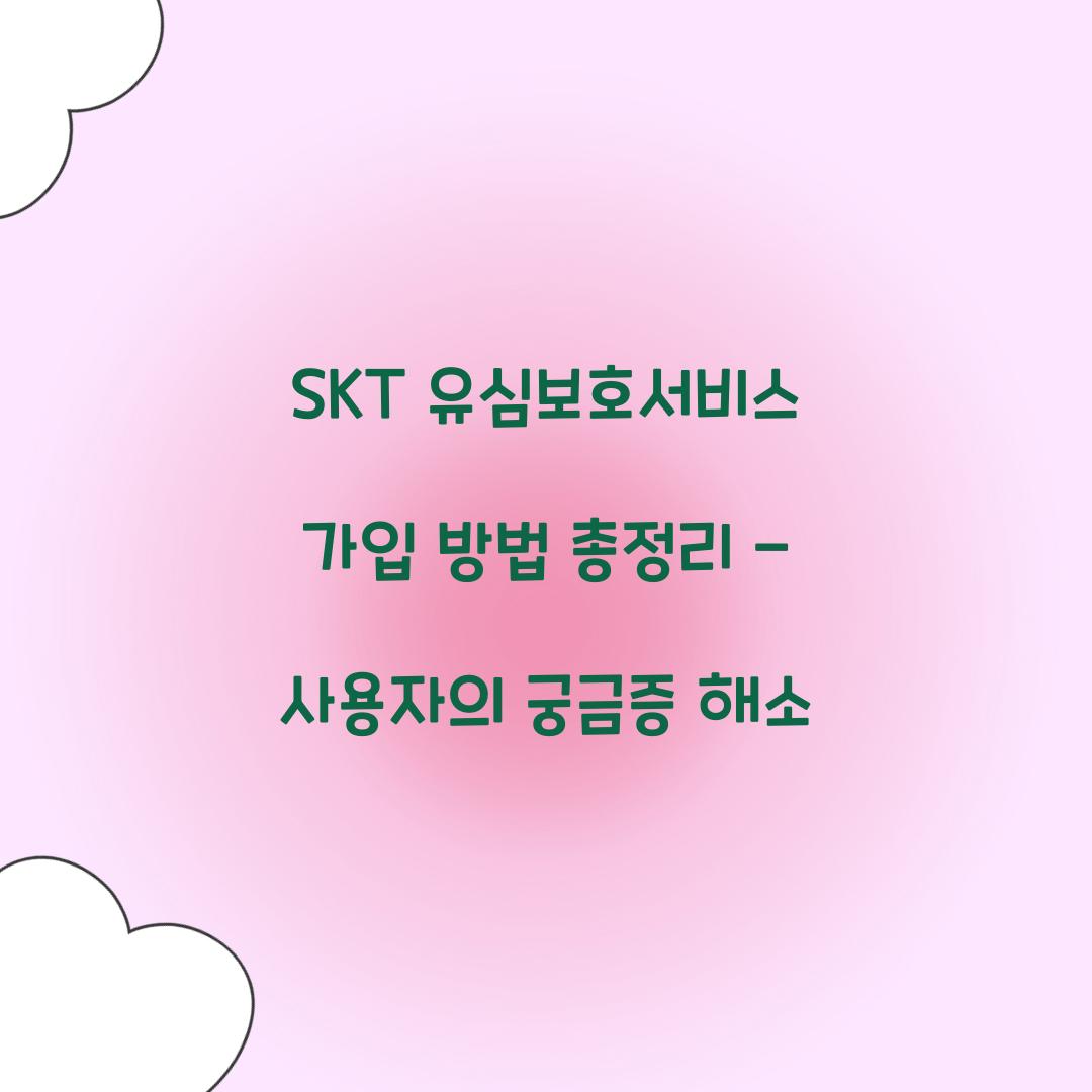 SKT 유심보호서비스 가입 방법 총정리