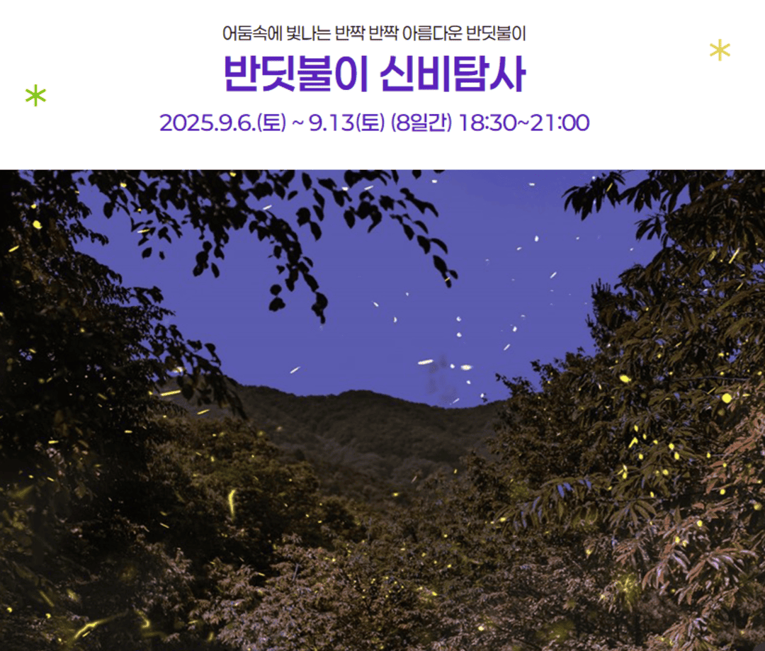 반딧불이 신비탐사