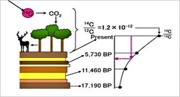 탄소14를 이용한 지질학적 연대 측정