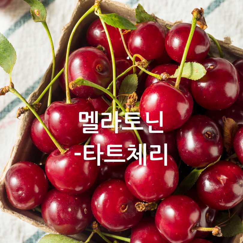 멜라토닌 많은 음식 10가지