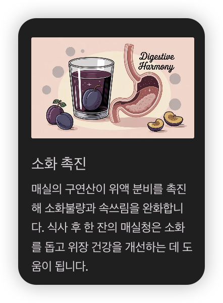 매실청-효능-소화-촉진