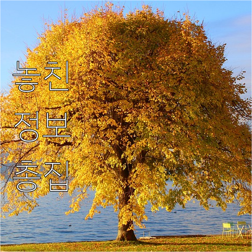 광주 소상공인 2025년 전문가와 함..