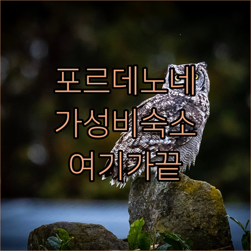 포르데노네 여행 숙소 위치와 가성비 ..
