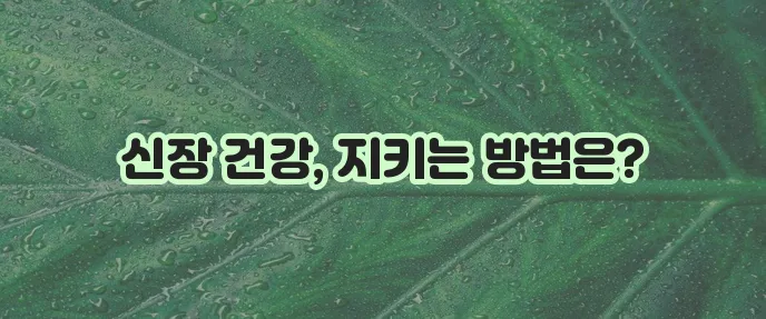 신장질환 원인과 예방 꼼꼼하게 알아봐야 합니다