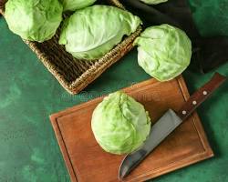 "나무 테이블 위에 놓인 싱싱하고 깨끗한 통양배추 사진, 위 건강과 위염 완화 정보를 제공하는 블로그 이미지"