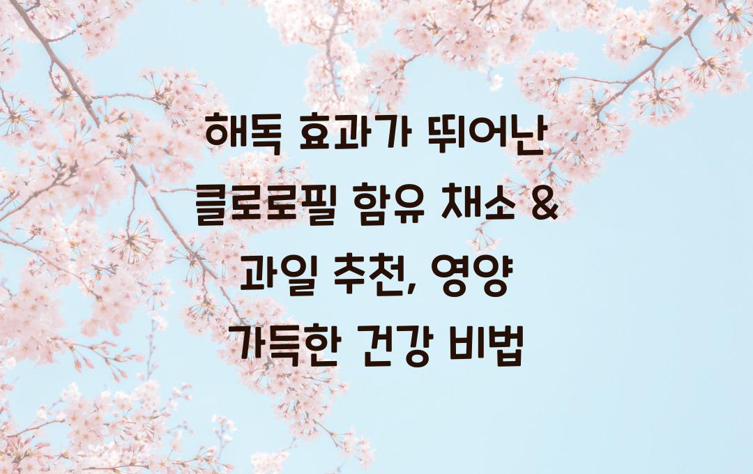 해독 효과가 뛰어난 클로로필 함유 채소 & 과일 추천