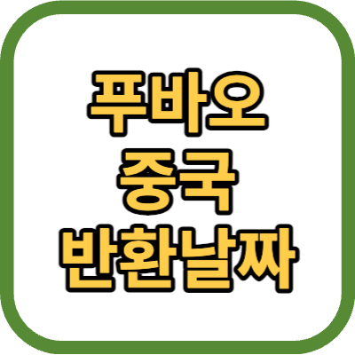 푸바오 반환