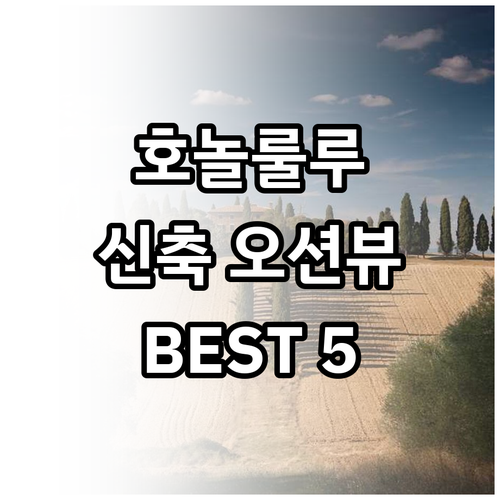 하와이 호놀룰루 호텔 5곳 위치부터 ..