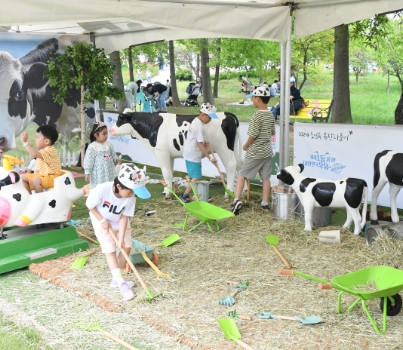 함평나비축제 일정, 초대가수, 입장료 할인정보🦋