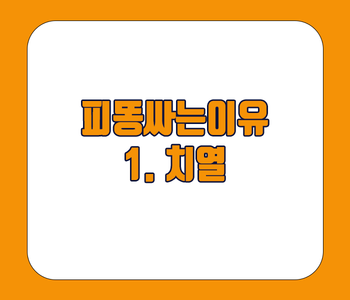 피똥싸는 이유 - 치열
