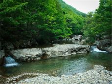 국립자연휴양림