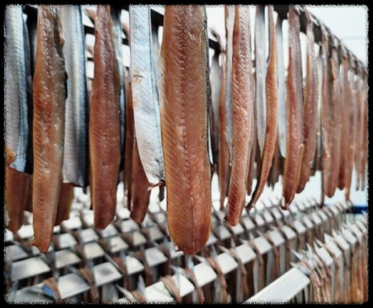 과메기 제철 구룡포 과메기 맛있게 먹는 법