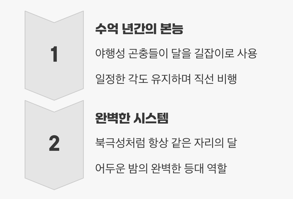 밤하늘의 내비게이션, '달'