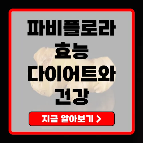 파비플로라의 주요 효능과 안전한 섭취법