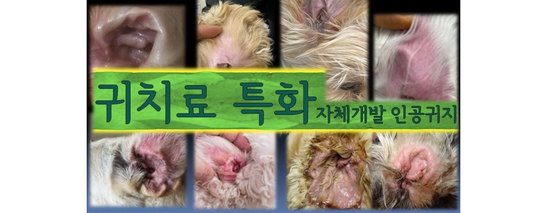 서울 금천구 동물병원