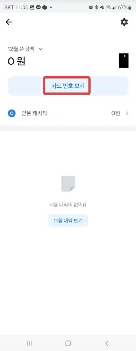 카카오페이카드&amp;#44; 토스카드 카드번호 확인하는 방법 사진 10