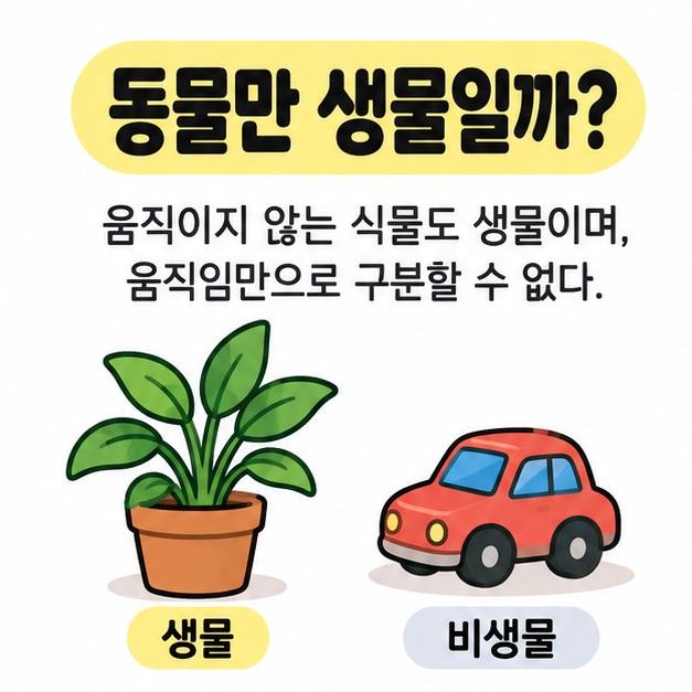 동물만 생물일까라는 질문 아래 생물인 화분 식물과 비생물인 장난감 자동차를 비교한 그림