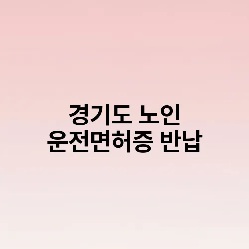 경기도 노인 운전면허증 반납