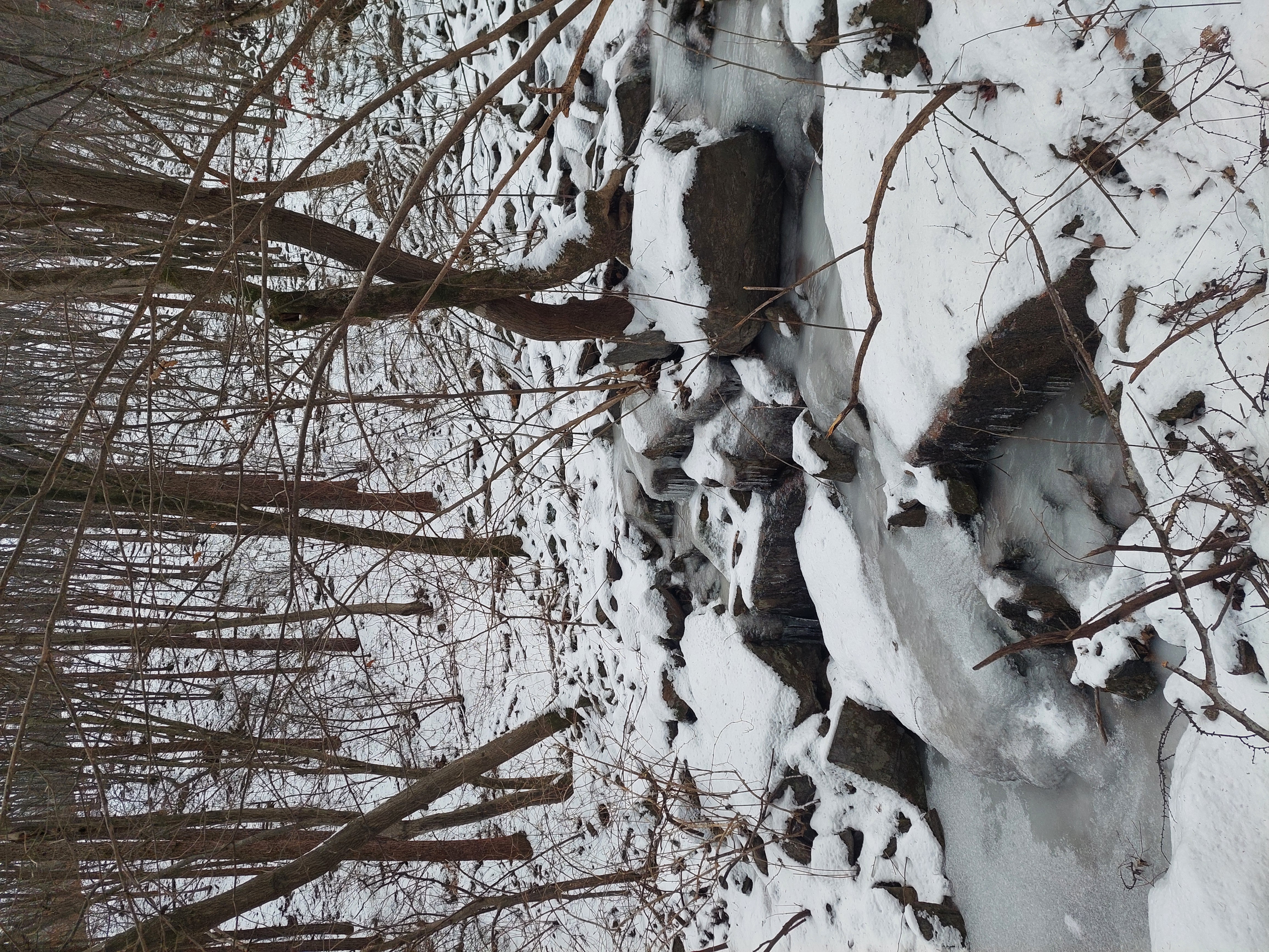 유명산