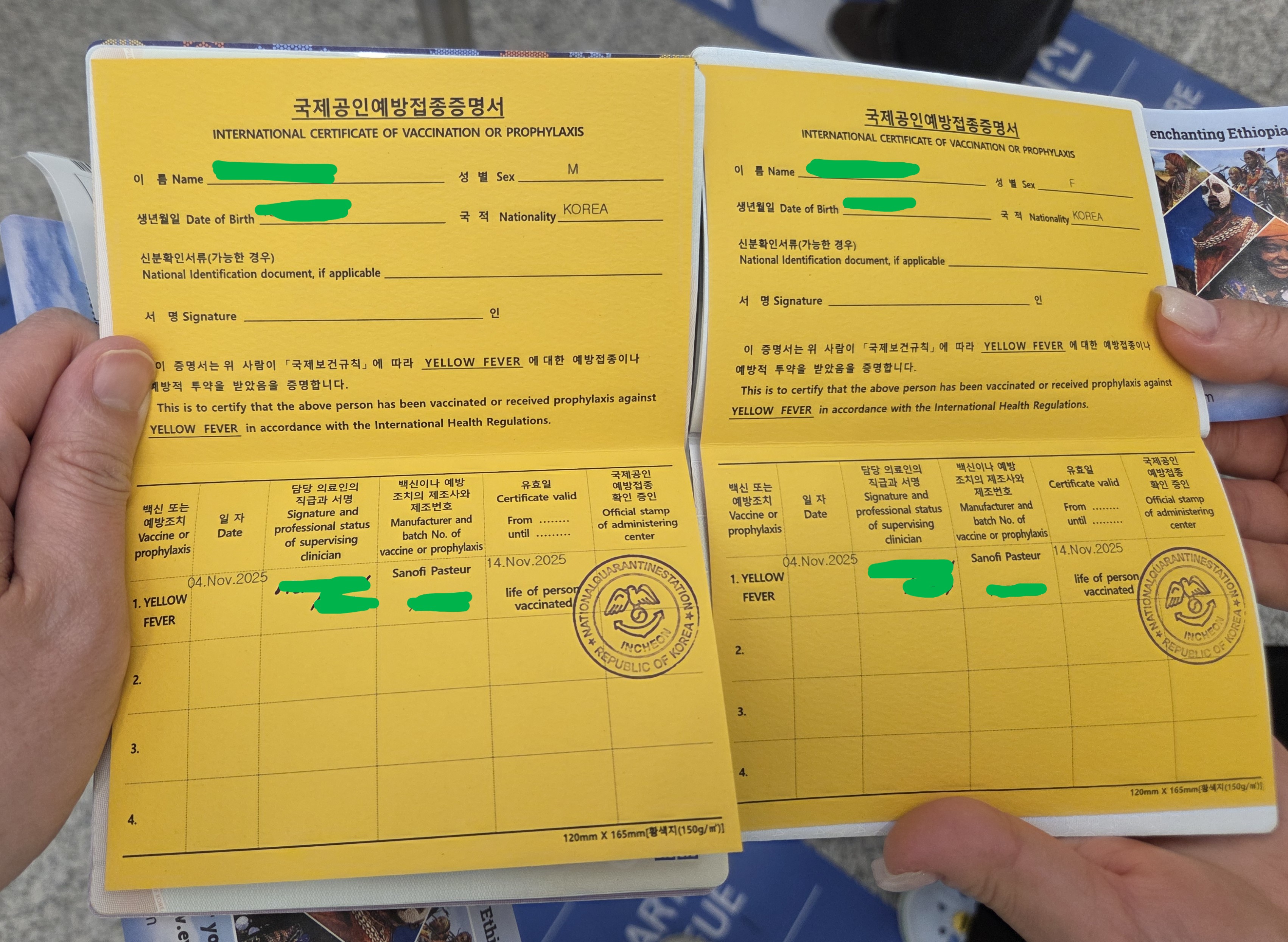 황열병 접종 증명서