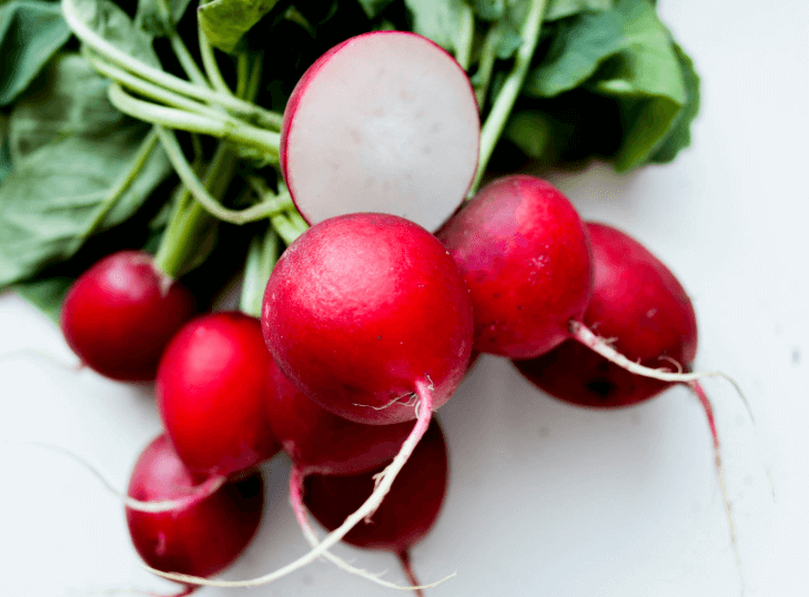 가을에 심는 작물들