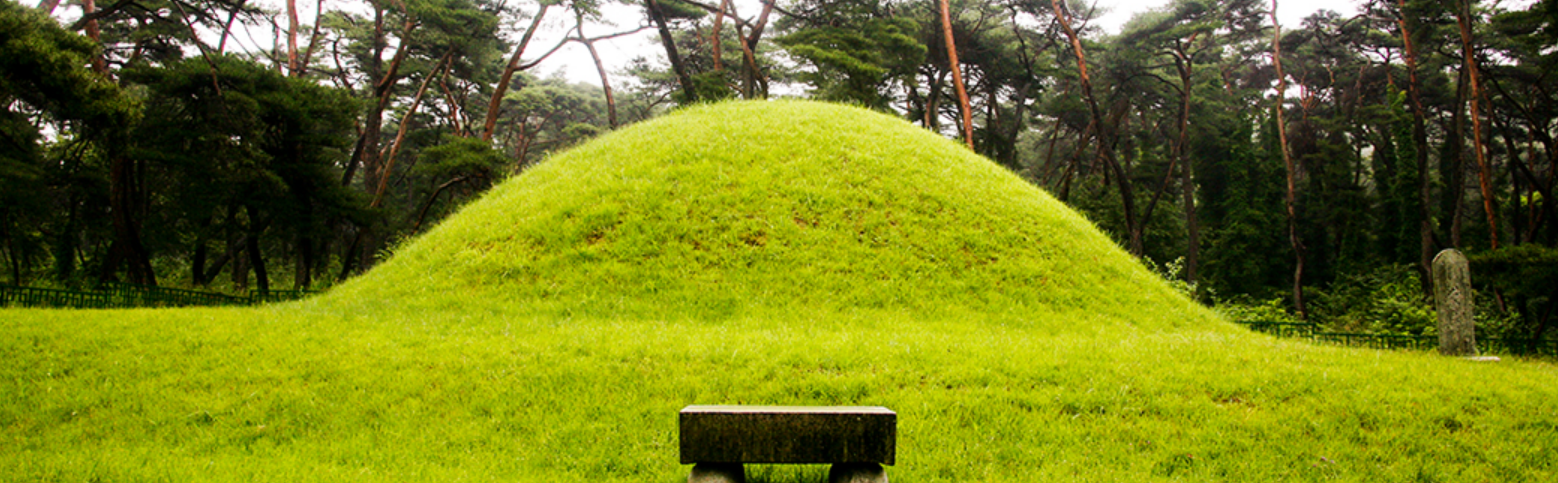 벌초완료된 사진