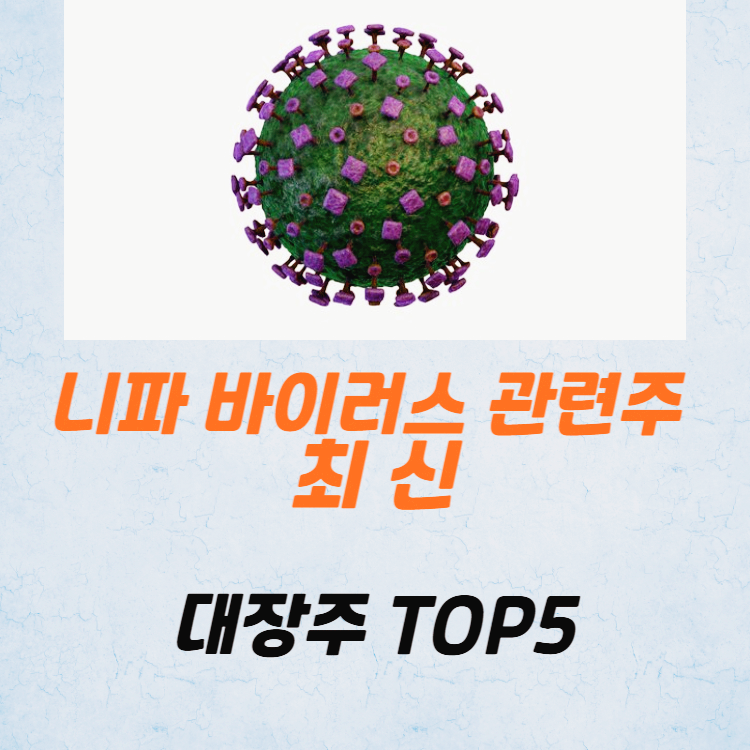니파 바이러스 관련주 대장주 테마주 수혜주 TOP5