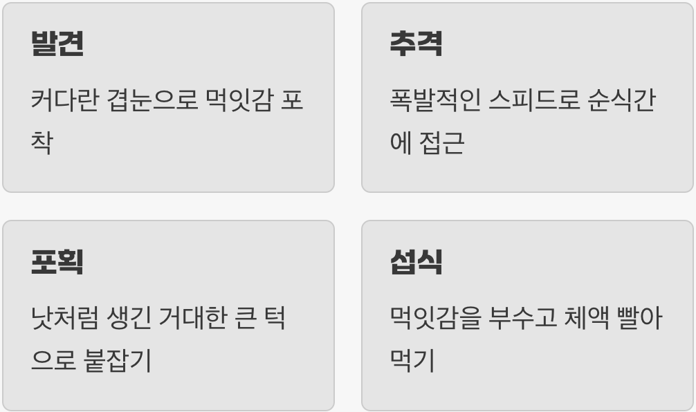 숨 막히는 사냥꾼&amp;#44; 강력한 큰 턱