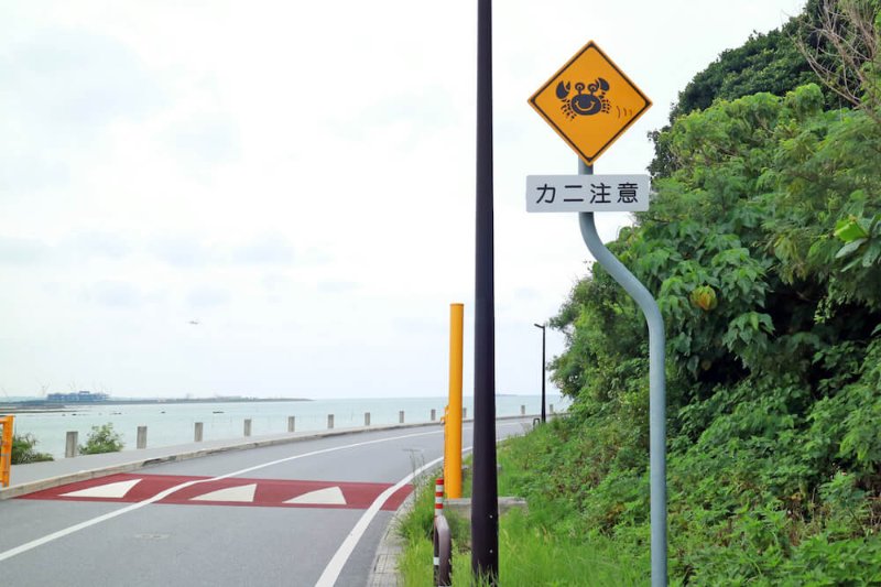 오키나와 운전 주의점3