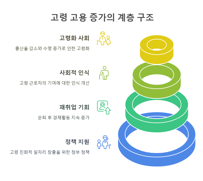 고령 고용 증가의 계층 구조